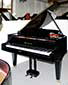 Flgel-Bsendorfer-170-schwarz-19525-1-b